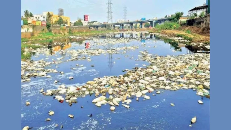 தமிழகத்தில் சுற்றுச்சூழல் படுகொலையை தடுக்க தனிச்சட்டம் கோரி சமூக பொதுநல இயக்கம்