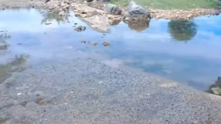 கோயம்புத்தூர் அருகே பாலமின்றி பரிதவிக்கும் மலைகிராமம் – சமூக பொதுநல இயக்கம் குற்றச்சாட்டு.