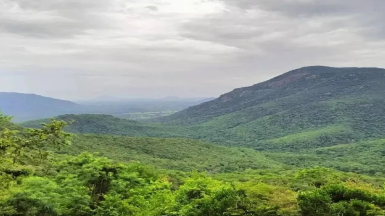 ஜவ்வாது மலையில் அதானியின் அல்லேரி புனல் மின்நிலையத் திட்டத்திற்கு எதிர்ப்பு