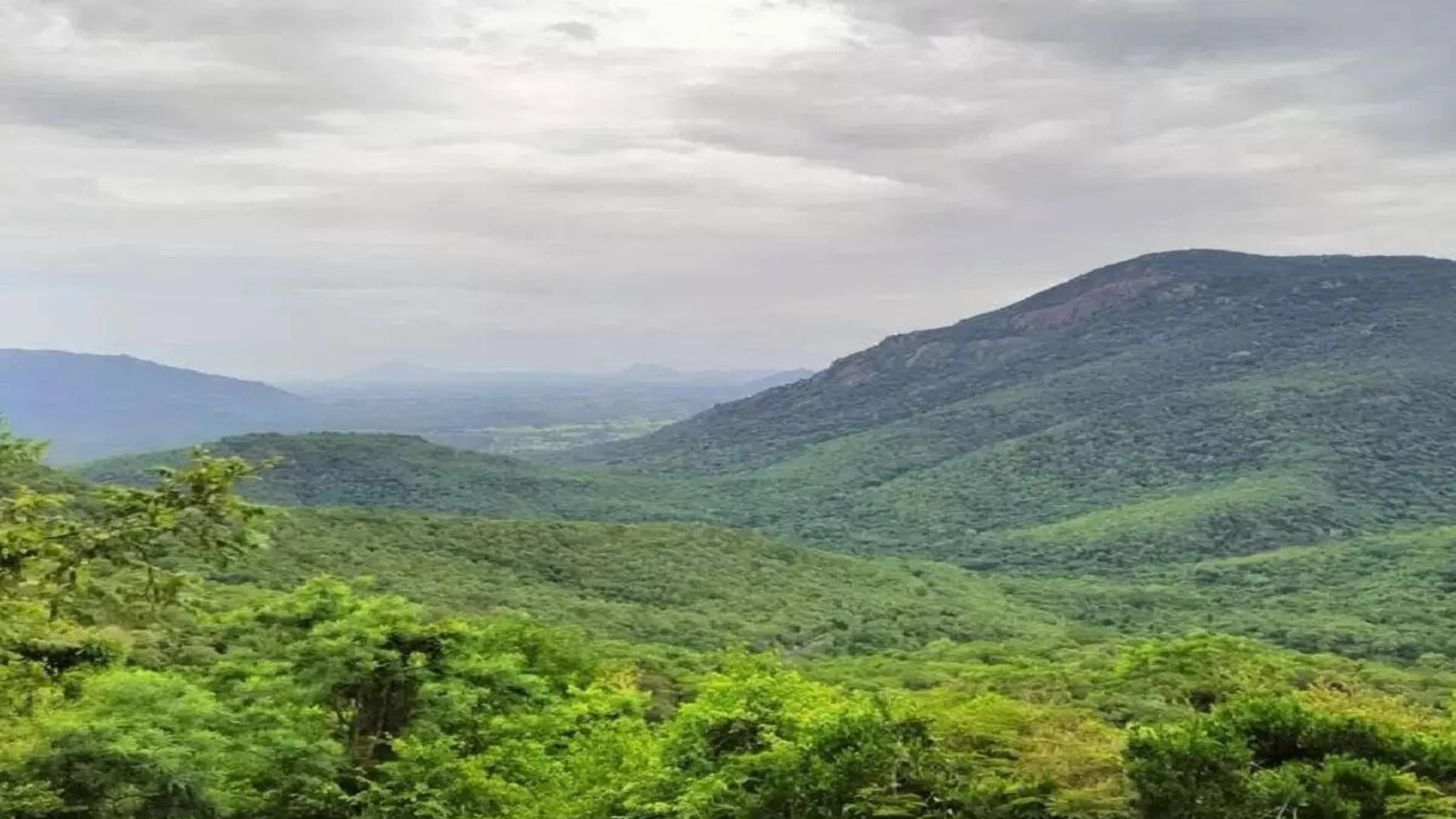 ஜவ்வாது மலையில் அதானியின் அல்லேரி புனல் மின்நிலையத் திட்டத்திற்கு எதிர்ப்பு