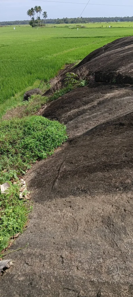 Demand to protect Manavalakurichi Periyakulam inscriptions
Ancient Periyakulam inscriptions disappearing into the soil
Manavalakurichi inscriptions deteriorating without maintenance
Call to protect Rajaraja Chola-period inscriptions
Government action needed to protect Manavalakurichi inscriptions
