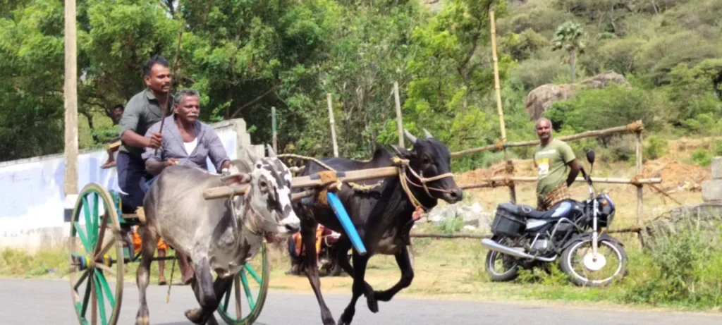 ஆரல்வாய்மொழி சாலையில் மாட்டுவண்டிப்போட்டிக்கு தடை
செண்பகராமன்புதூர் சாலையில் மாட்டுவண்டிப்போட்டி நடத்த தடை
மாட்டுவண்டிப்போட்டியால் போக்குவரத்து பாதிப்பு - தடை கோரிக்கை
ஆரல்வாய்மொழி சாலையில் மாட்டுவண்டிப்போட்டியை தடுக்க கோரிக்கை
பொதுமக்கள் பாதிப்பு: மாட்டுவண்டிப்போட்டிக்கு தடை விதிக்க வலியுறுத்தல்