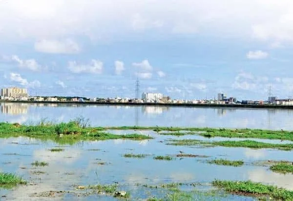 ஈரநிலங்கள் அழிவை தடுக்க அரசு நடவடிக்கை எப்போது?
ஈரநில ஆக்கிரமிப்புகளை தடுக்க ஆணையம் செயல்பட வேண்டும்
தமிழக ஈரநிலங்களை பாதுகாக்க அவசர நடவடிக்கை தேவை
பள்ளிக்கரணை உள்ளிட்ட ஈரநிலங்களை பாதுகாக்க கோரிக்கை
ஈரநிலை ஆணையத்தின் செயல்பாடுகளை தொடங்க வலியுறுத்தல்
ஈரநில பாதுகாப்பில் தமிழக அரசின் நடவடிக்கை எப்போது?