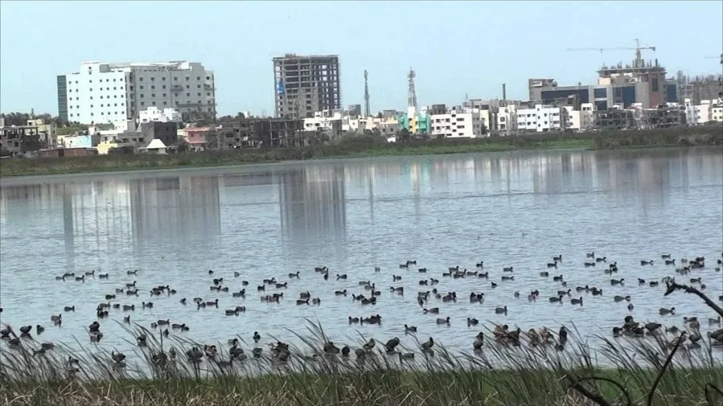 எட்டு ஆண்டுகளாக செயல்படாத ஈரநிலை ஆணையம்
தமிழ்நாடு ஈரநிலை ஆணையம் விழிப்பது எப்போது?
ஈரநிலங்களை பாதுகாக்க ஆணையத்தை செயல்படுத்த கோரிக்கை
ராம்சார் தளங்கள் பாதுகாப்பில் ஈரநிலை ஆணையம் செயல்பட வே