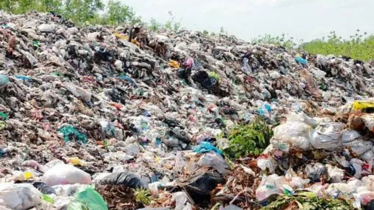 Attempt to Illegally Establish a Biomedical Waste Treatment Plant Near Kulithalai – TNSPI Opposition.