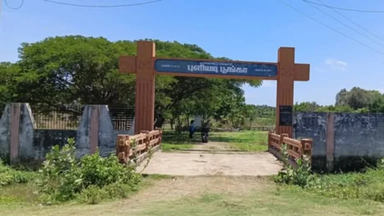 Puliyadi Park Buried Under Overgrowth Due to Lack of Maintenance – Samuga Pothunala Iyakkam (TNSPI) Complains