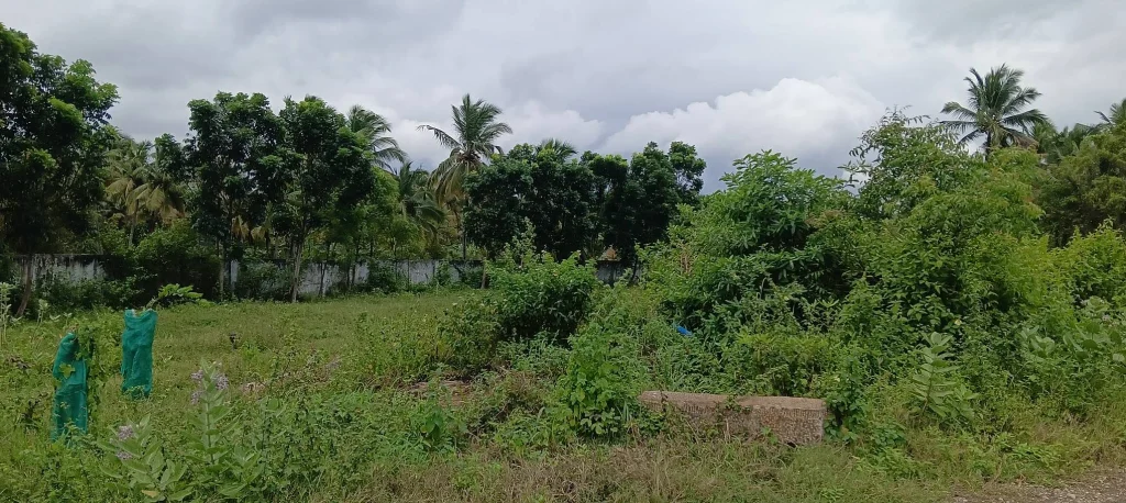 கல்மடம் இடிப்பு, பாரம்பரியச் சின்னங்கள் பாதுகாப்பு, குமரி மாவட்ட பாரம்பரியம், தமிழக பாரம்பரியப் பாதுகாப்பு, சமூக பொதுநல இயக்கம்