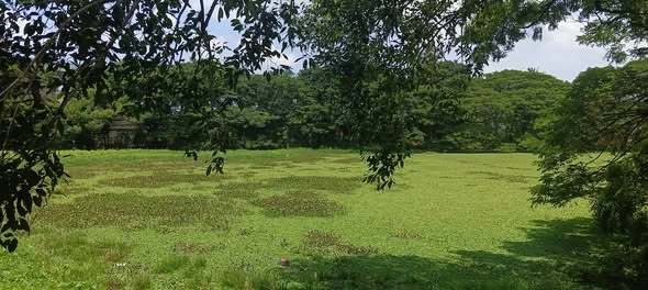 கழிவுநீர் கலப்பால் அழியும் நிலையில் பார்வதிபுரம் சமஞ்சான்குளம் – சமூக பொதுநல இயக்கம் புகார்.